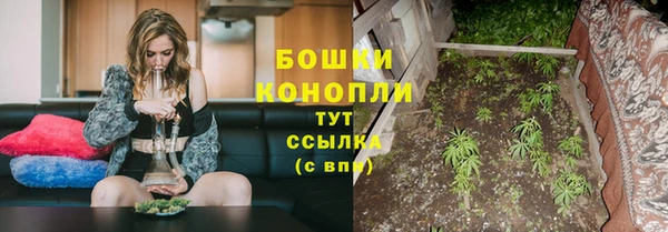 прущие грибы Остров